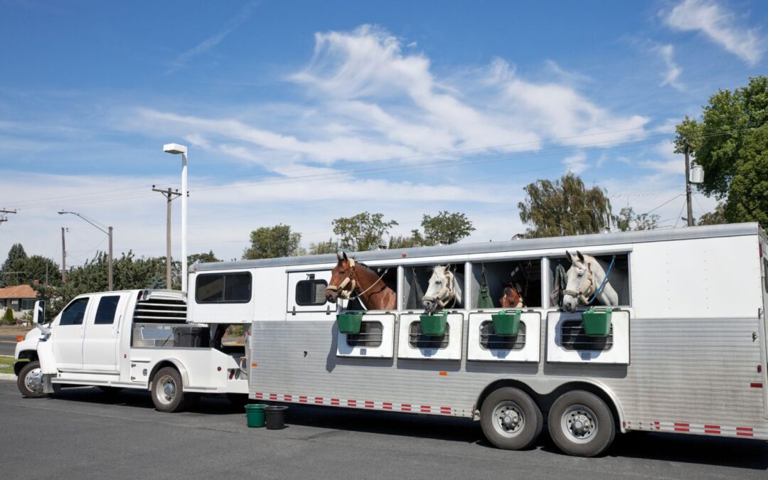 The Advantages of Adding a Leveling System to Your Horse Trailer