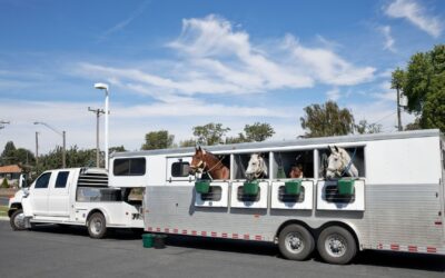 The Advantages of Adding a Leveling System to Your Horse Trailer
